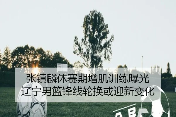 张镇麟休赛期增肌训练曝光 辽宁男篮锋线轮换或迎新变化