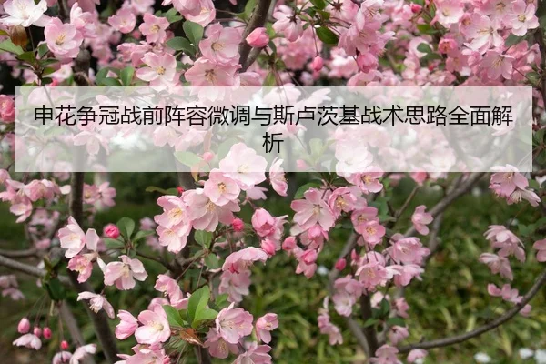 申花争冠战前阵容微调与斯卢茨基战术思路全面解析